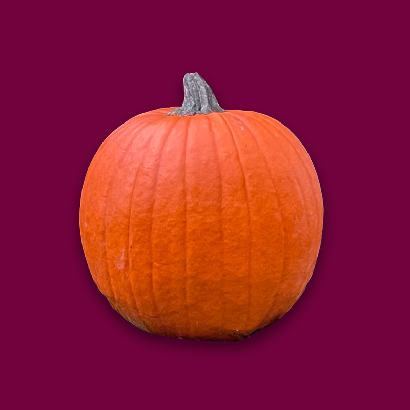 Organic small pumpkin