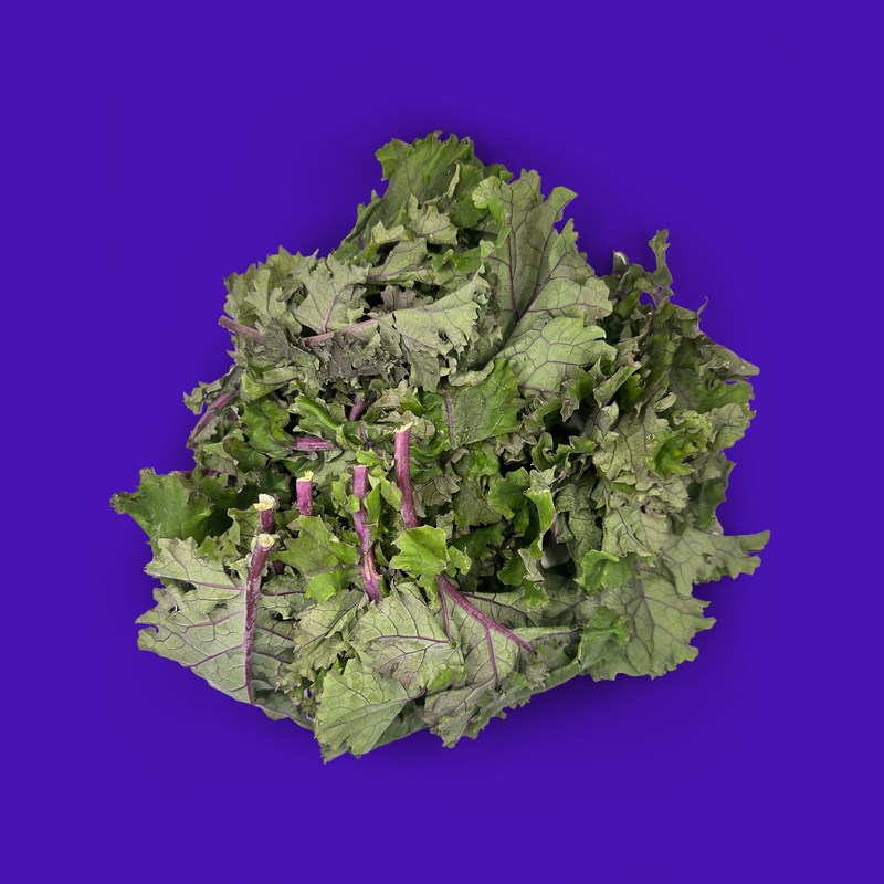Organic purple kale