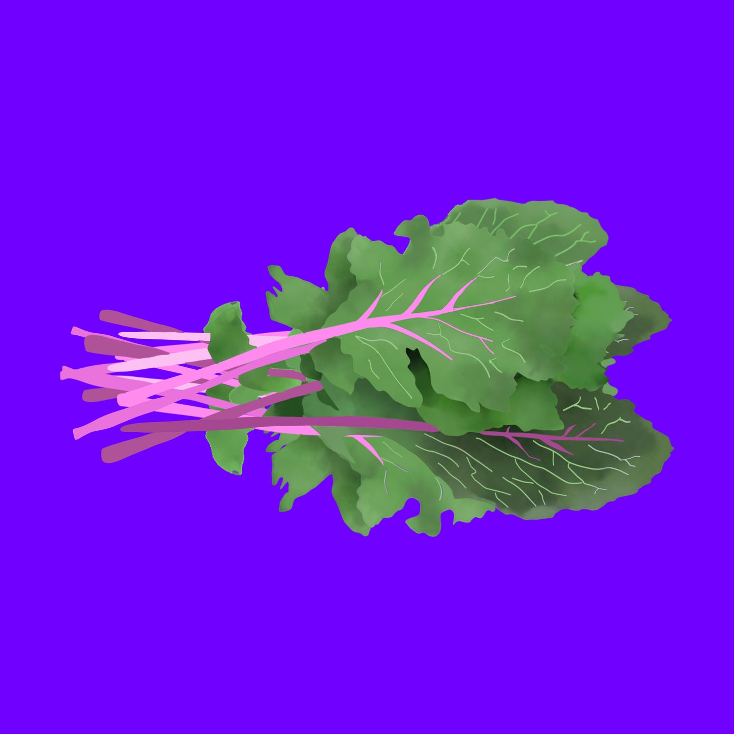 Illustration of purple kohlrabi leaf, vibrant green leaf with purple stem and veins.