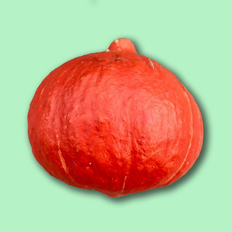 Organic uchiki kuri squash