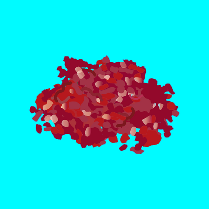 Pasture fed organic retired dairy steak mince