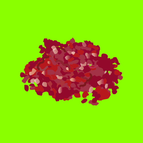 Pasture fed organic beef mince