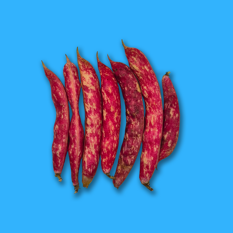 Organic borlotti beans
