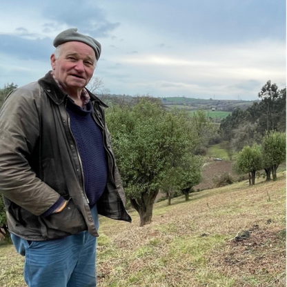 Organic green hearts