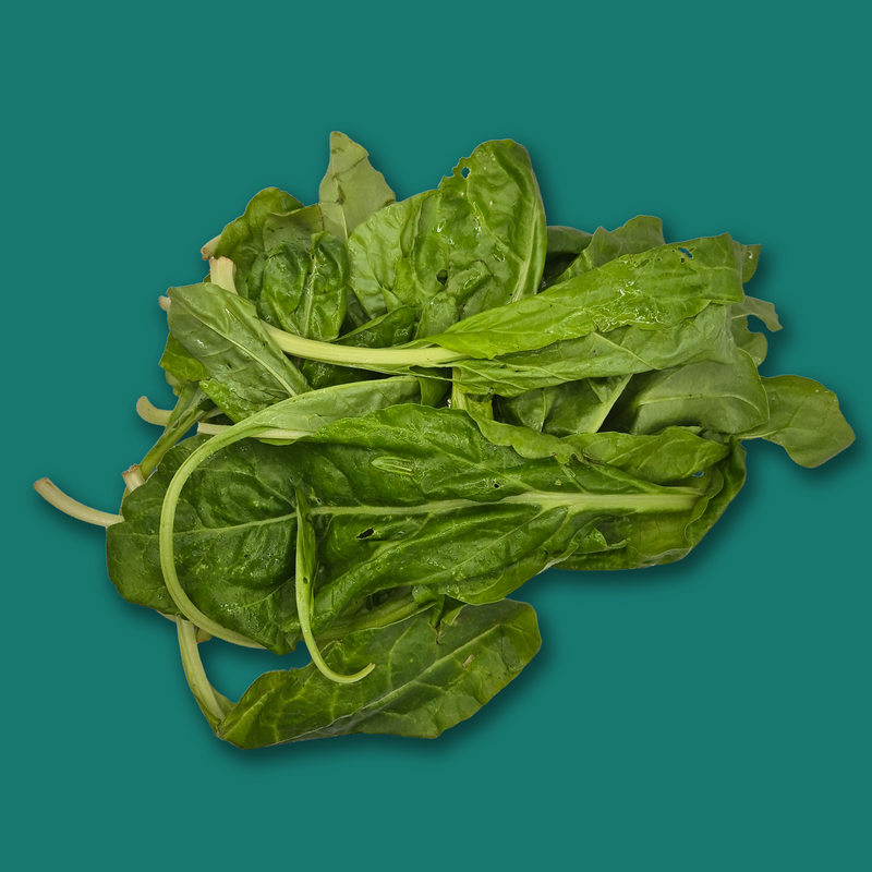 Organic perpetual spinach