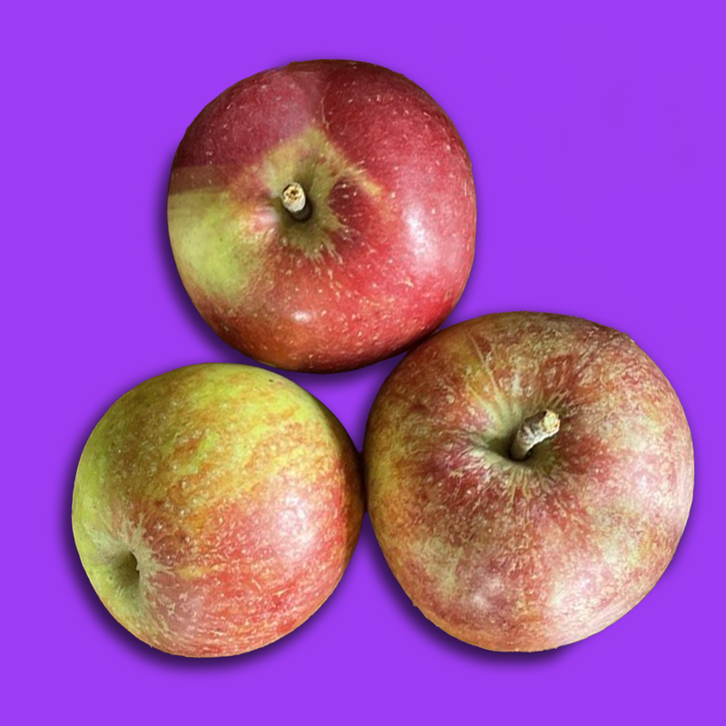 Ellison's Orange Apples