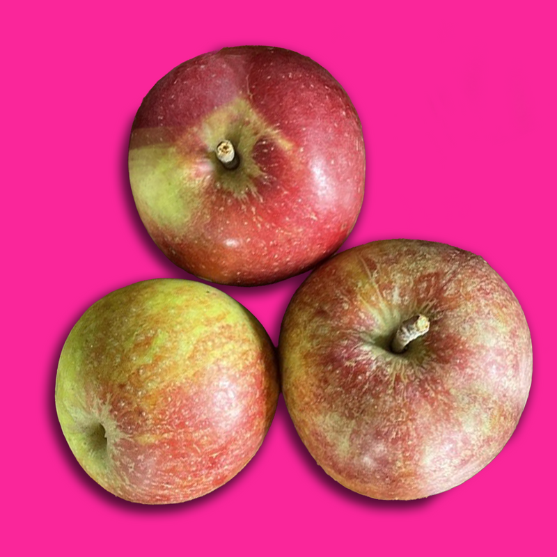 Ellison's Orange Apples