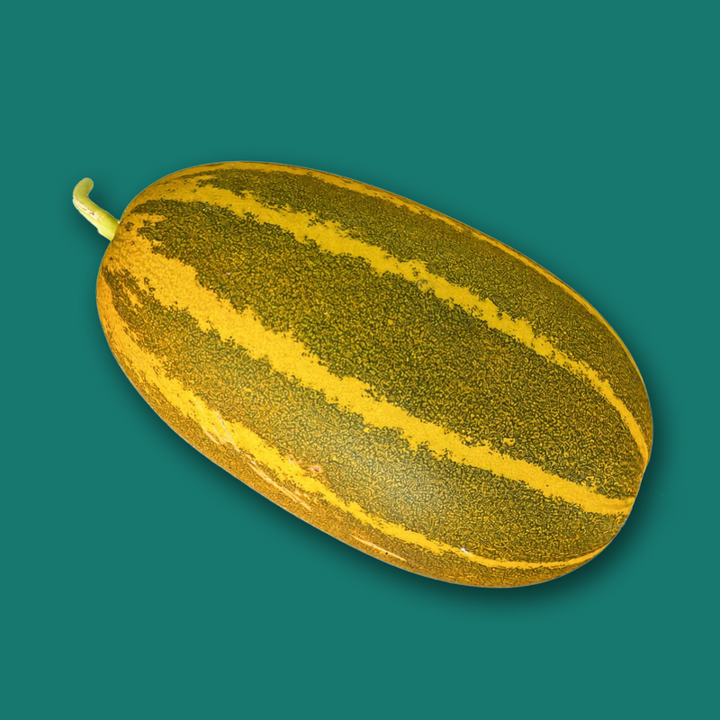 Asian cucumber
