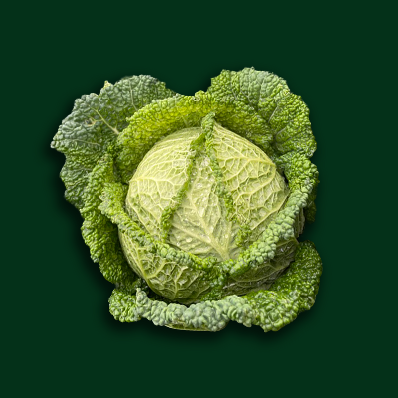 Organic savoy cabbage