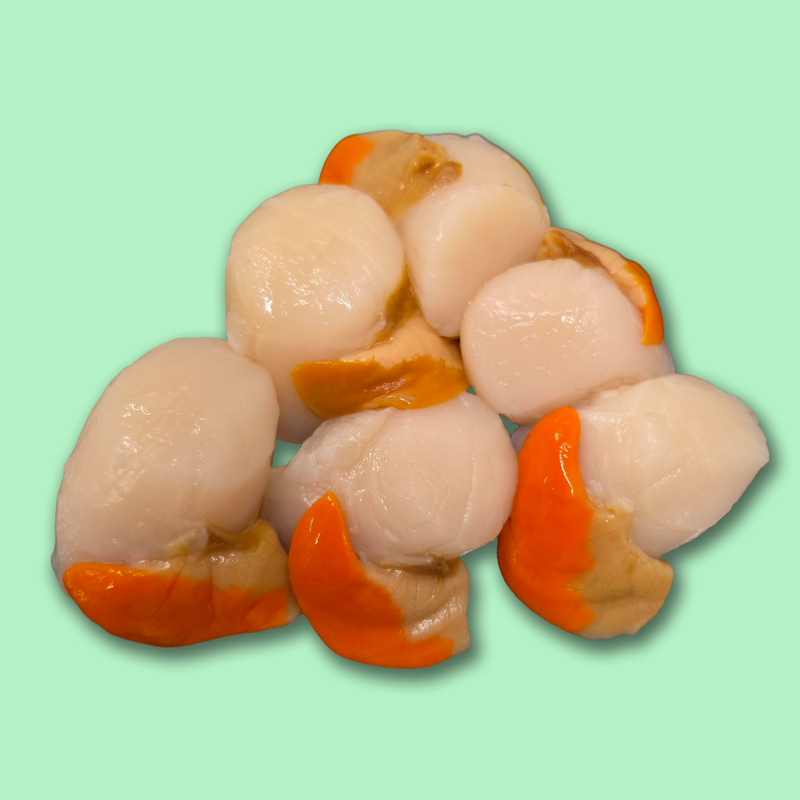Frozen wild hand dived scallops