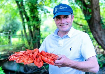 Wild crayfish Swedish style