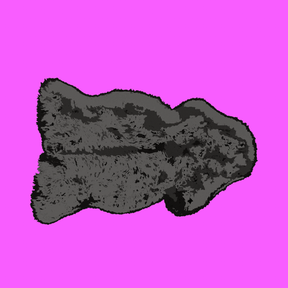 Organic Balwen Welsh Mountain sheepskin