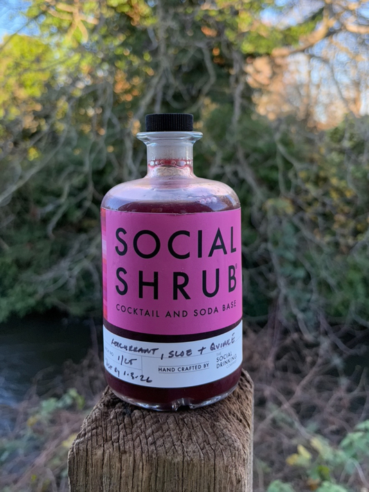 Redcurrant, Sloe and Quince Shrub