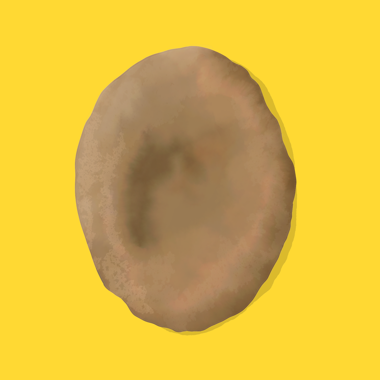 Fresh sourdough pita bread with a golden crust and soft, airy interior.