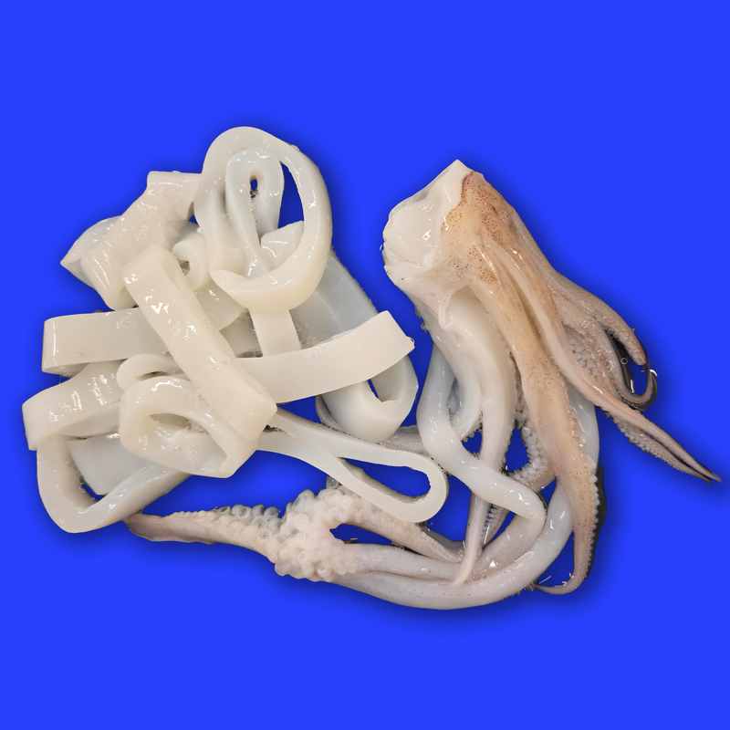 Wild squid