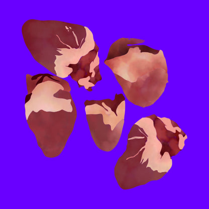 Field reared duck hearts
