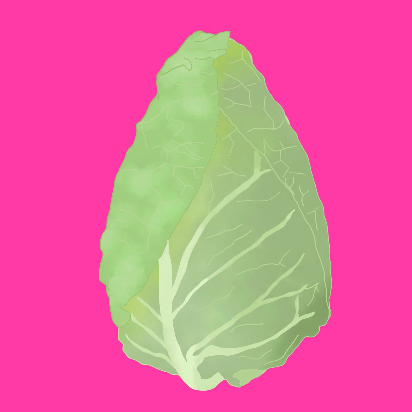 Biodynamic organic Caraflex cabbage