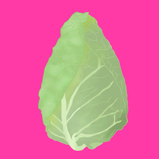 Biodynamic organic Caraflex cabbage