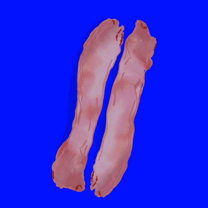 Field reared duck necks
