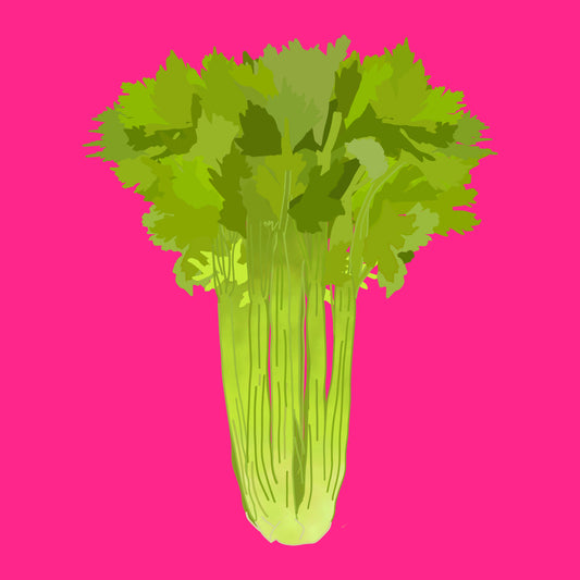 Biodynamic organic celery