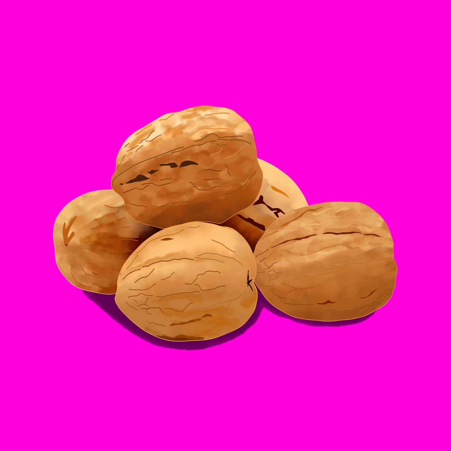 Devon grown walnuts in shell