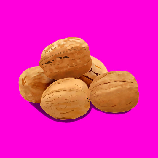 Devon grown walnuts in shell