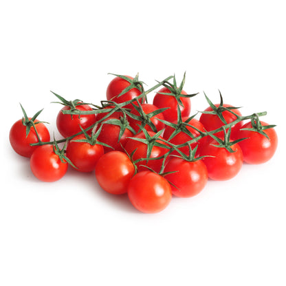 Organic tomatoes on the vine