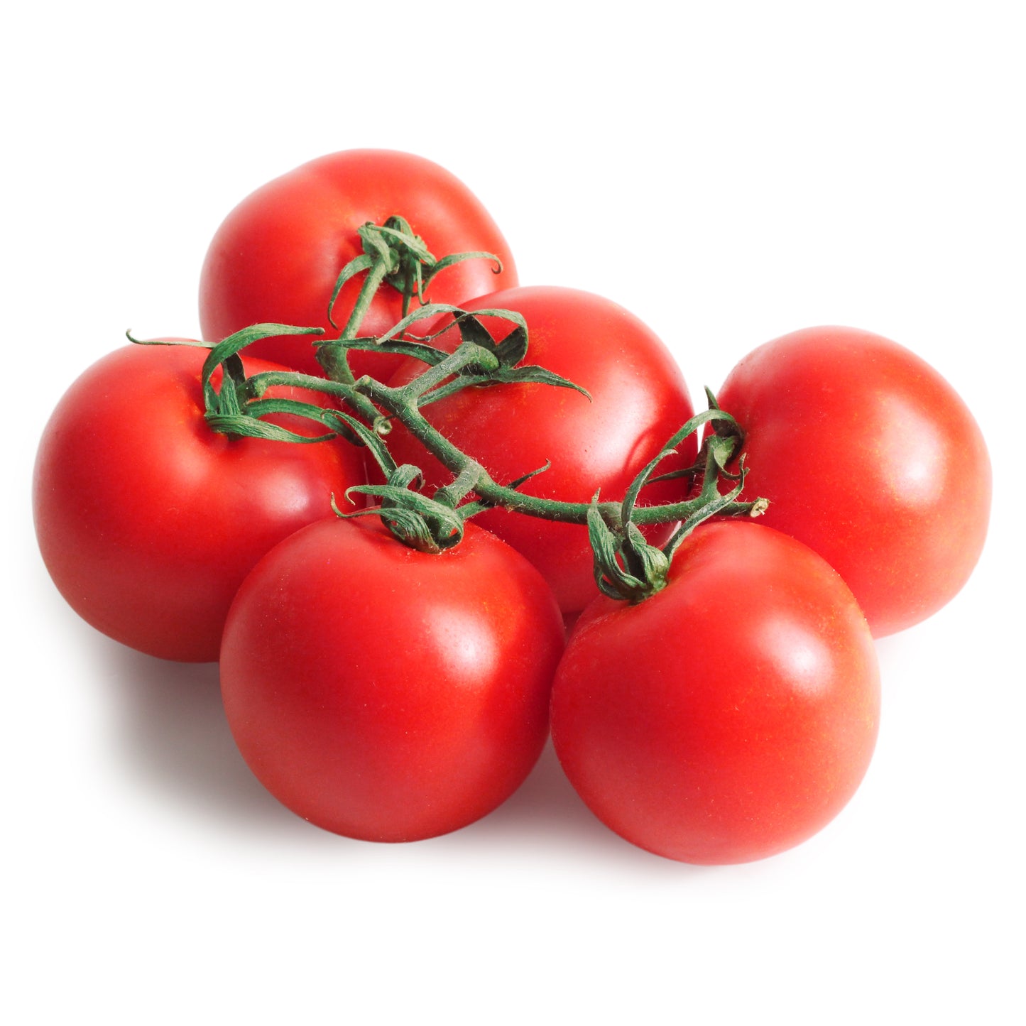 Organic heritage tomatoes
