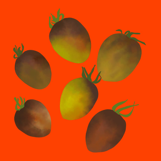 Organic baby plum tomatoes