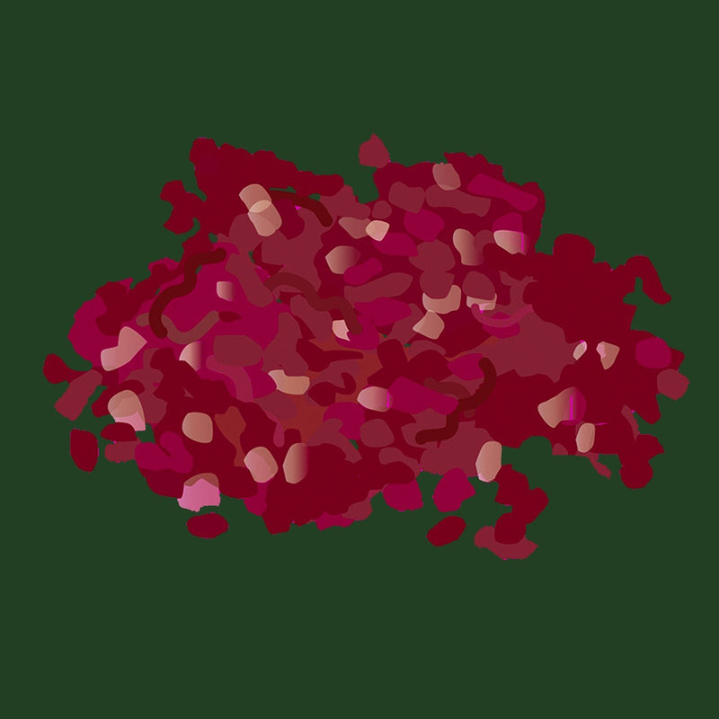 Christmas pasture fed organic rolled beef top rump ++