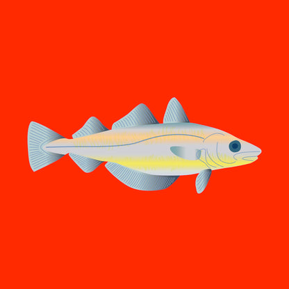 Wild whiting