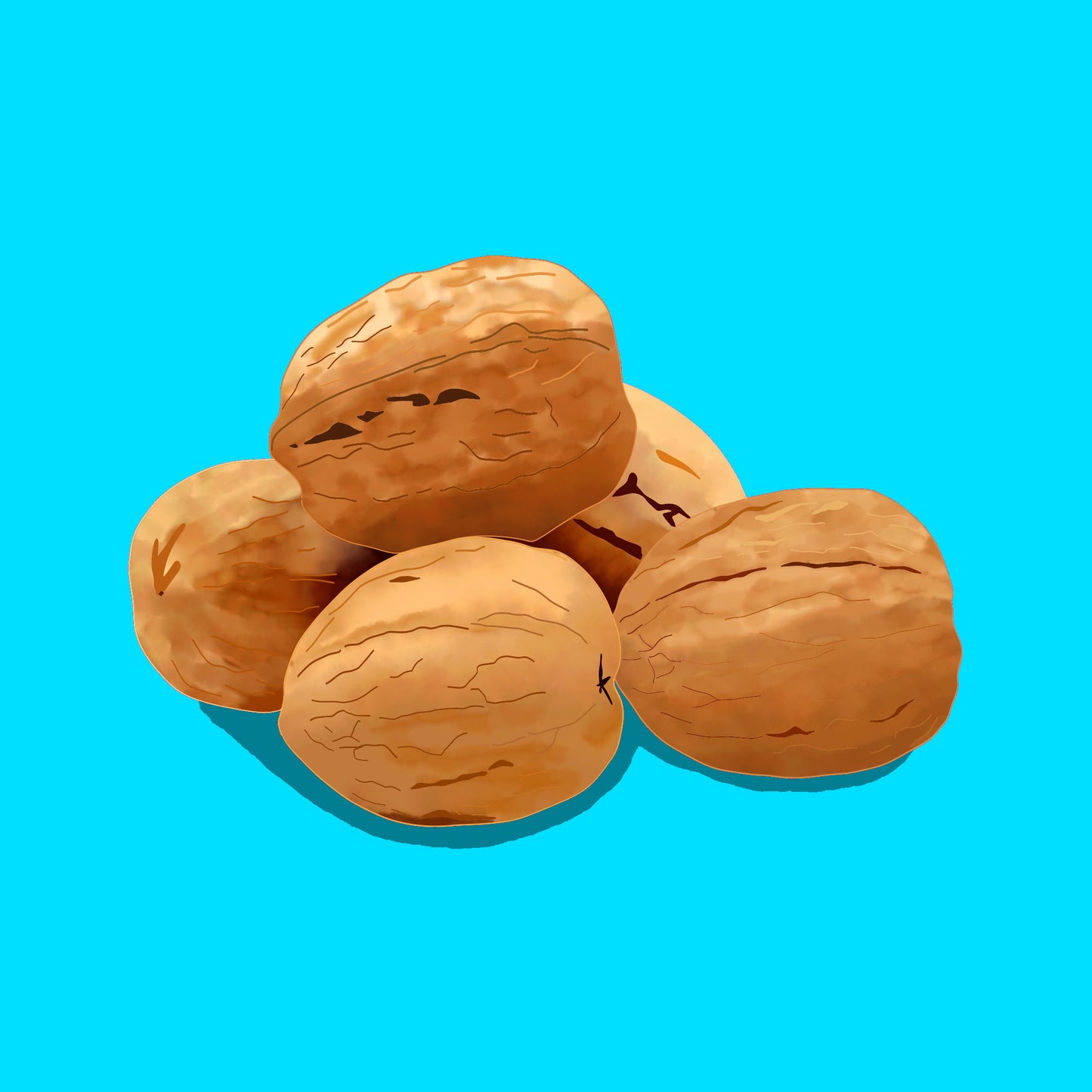 Devon grown walnuts in shell