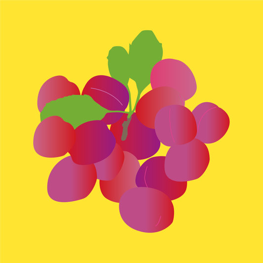 Biodynamic organic Victoria plums