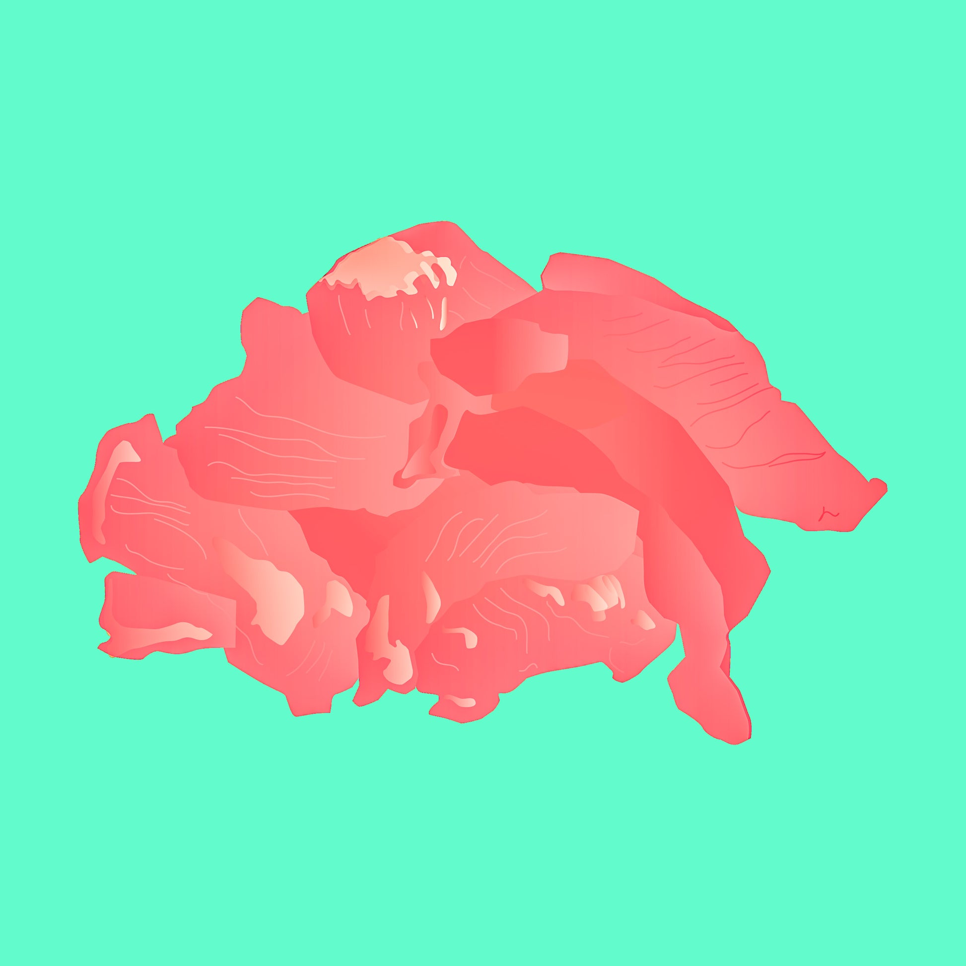Illustration of pork stir fry strips, thin sliced pork ready for quick cooking.