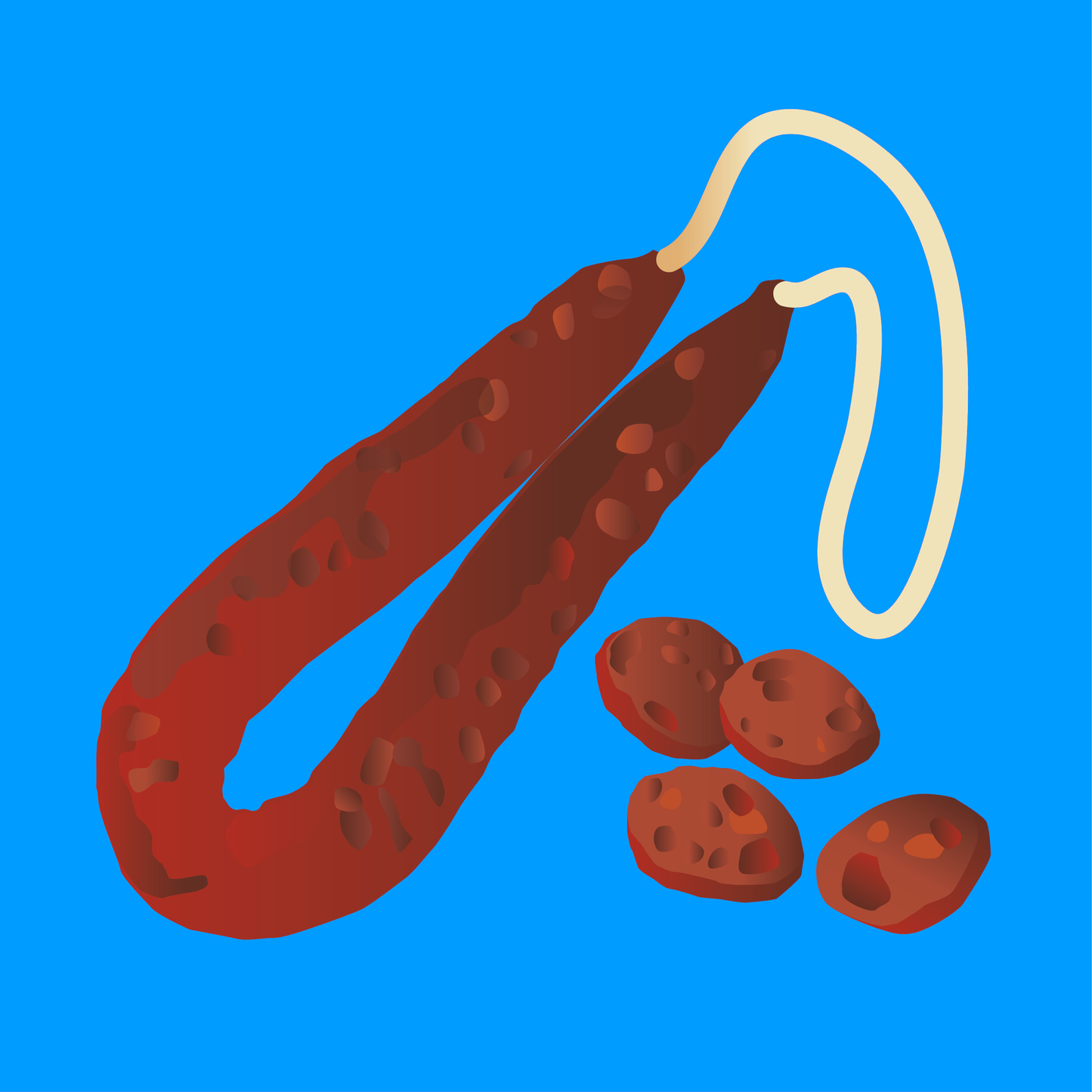 Organic spicy chorizo