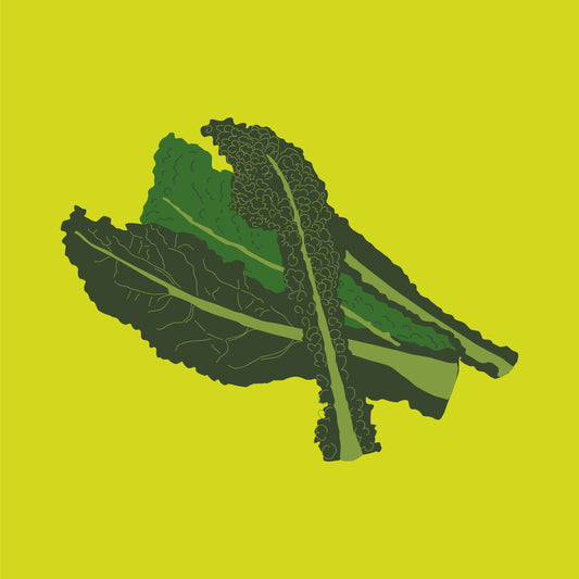 Biodynamic organic cavolo nero