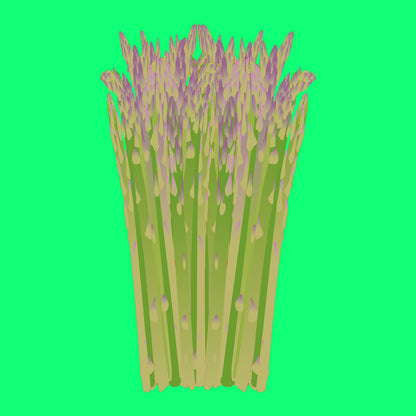 Illustration of wild asparagus, slender green asparagus spears with delicate purple tips.