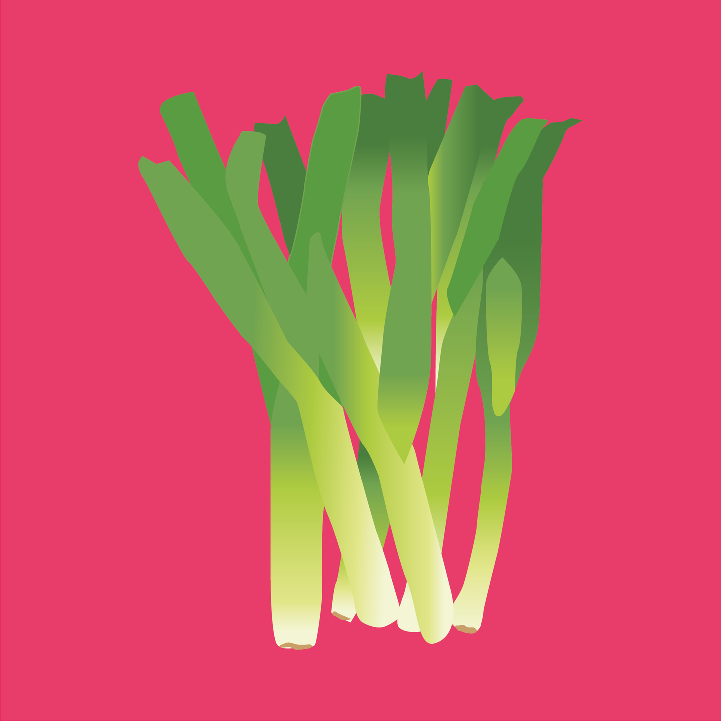 Biodynamic Organic Leeks