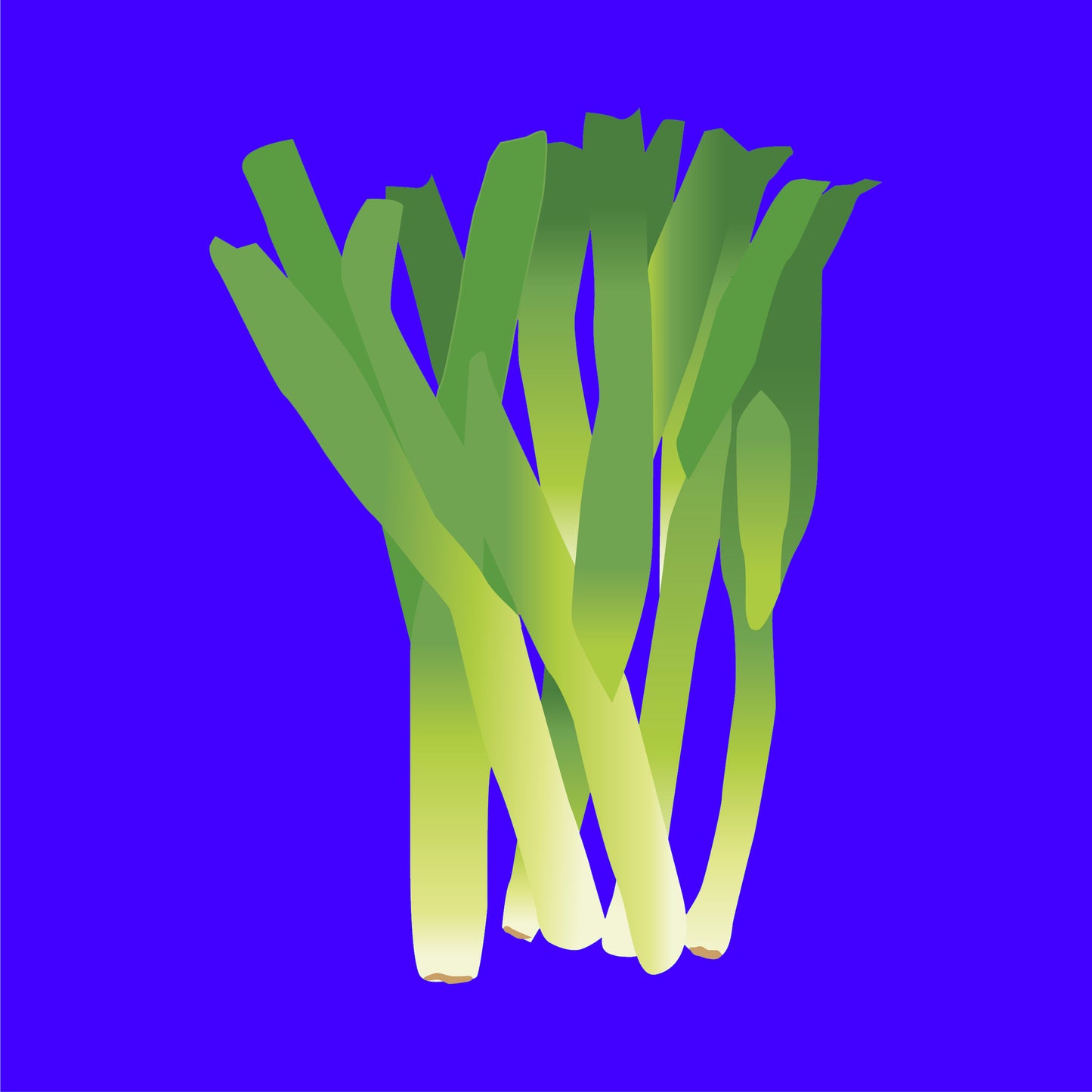 Biodynamic organic leeks