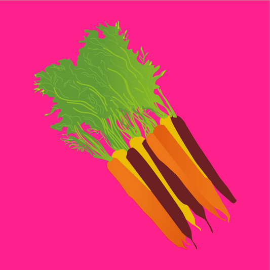 Organic bunched rainbow carrots