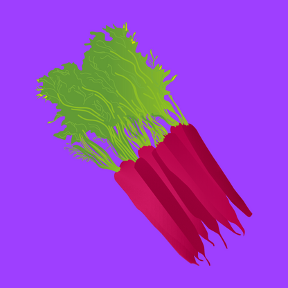 Organic bunched purple carrots