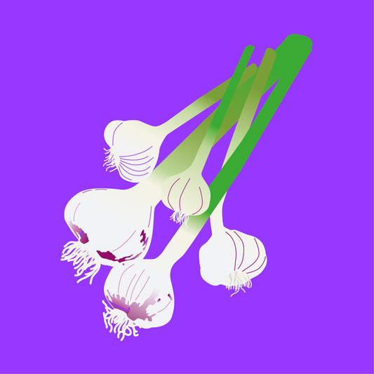 Biodynamic organic green garlic