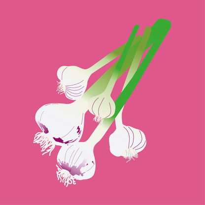 Biodynamic organic green garlic
