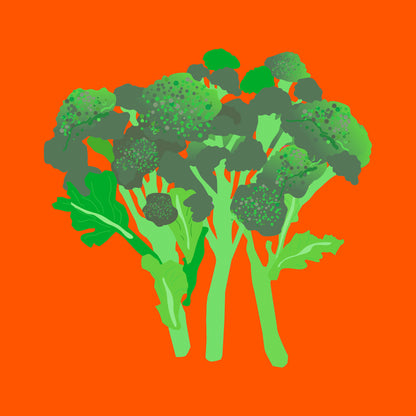Organic tenderstem broccoli