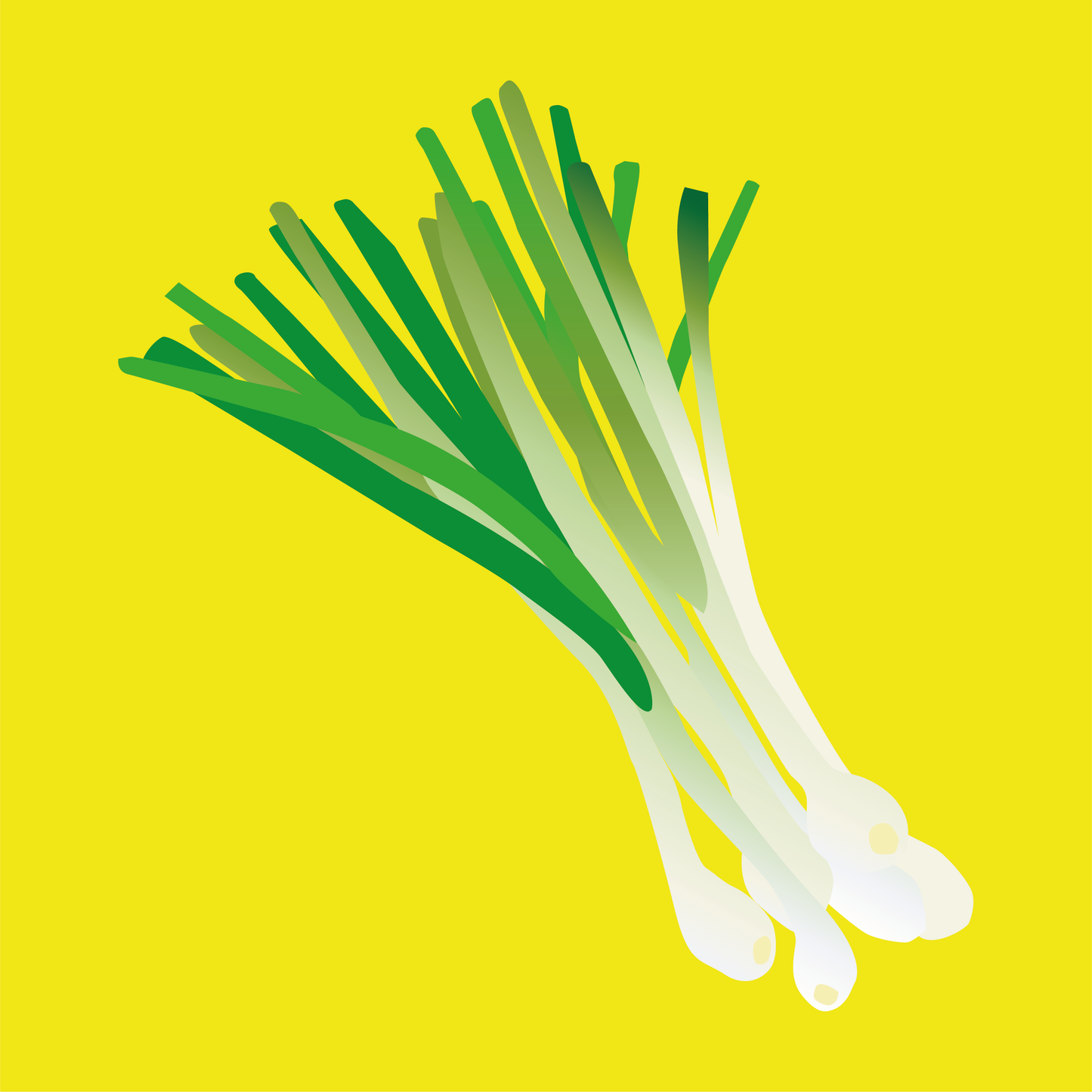 Organic Spring Onion