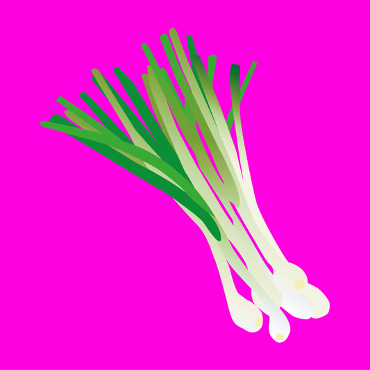 Organic green spring onions