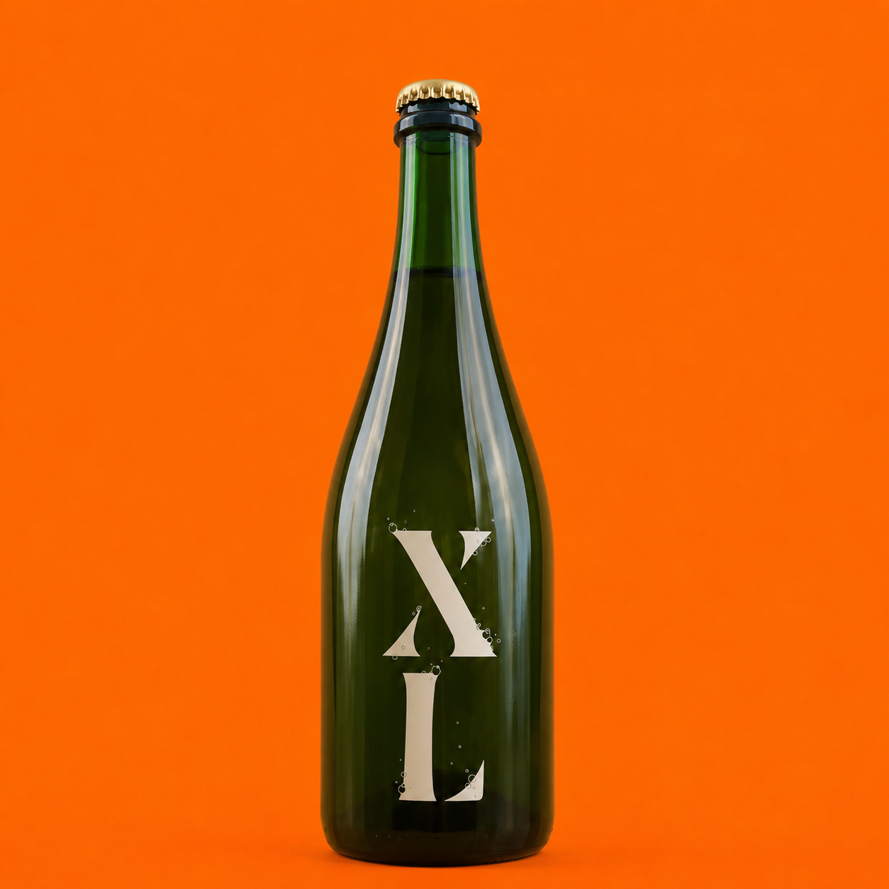 XL 2023
