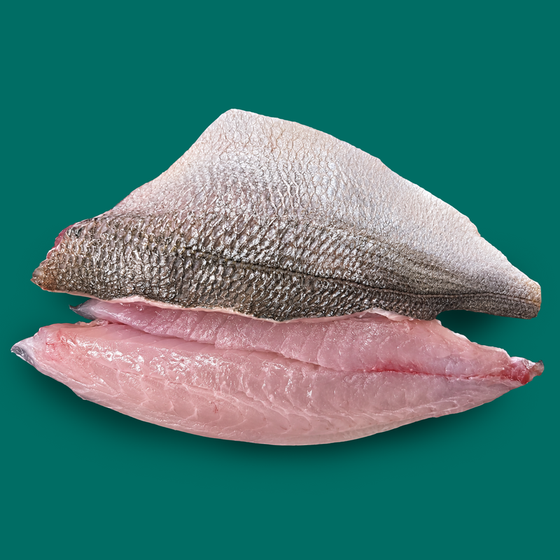 Frozen wild black bream fillets