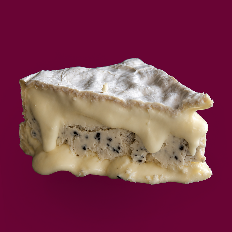 Truffle brie