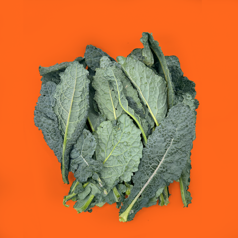 Organic cavolo nero